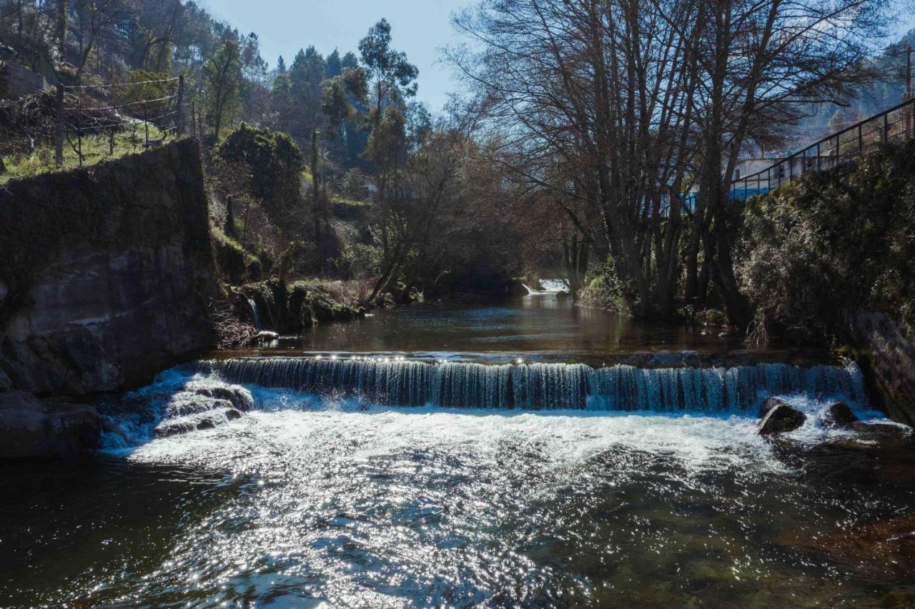 Douro Studio Daire Cinfães Dış mekan fotoğraf