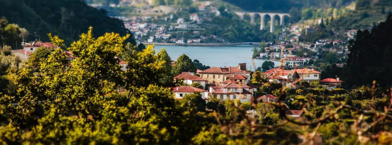 Douro Studio Daire Cinfães Dış mekan fotoğraf