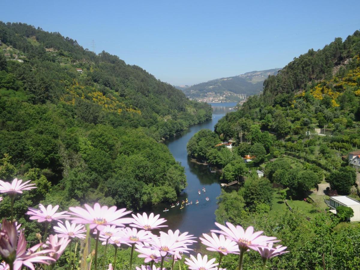 Douro Studio Daire Cinfães Dış mekan fotoğraf