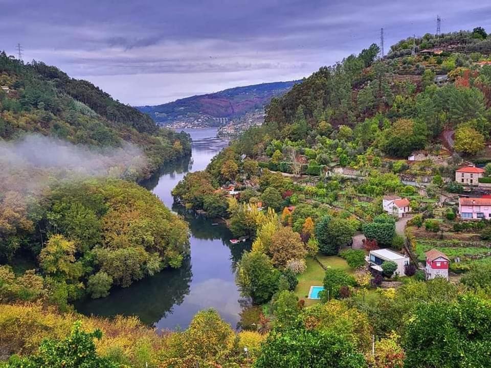 Douro Studio Daire Cinfães Dış mekan fotoğraf